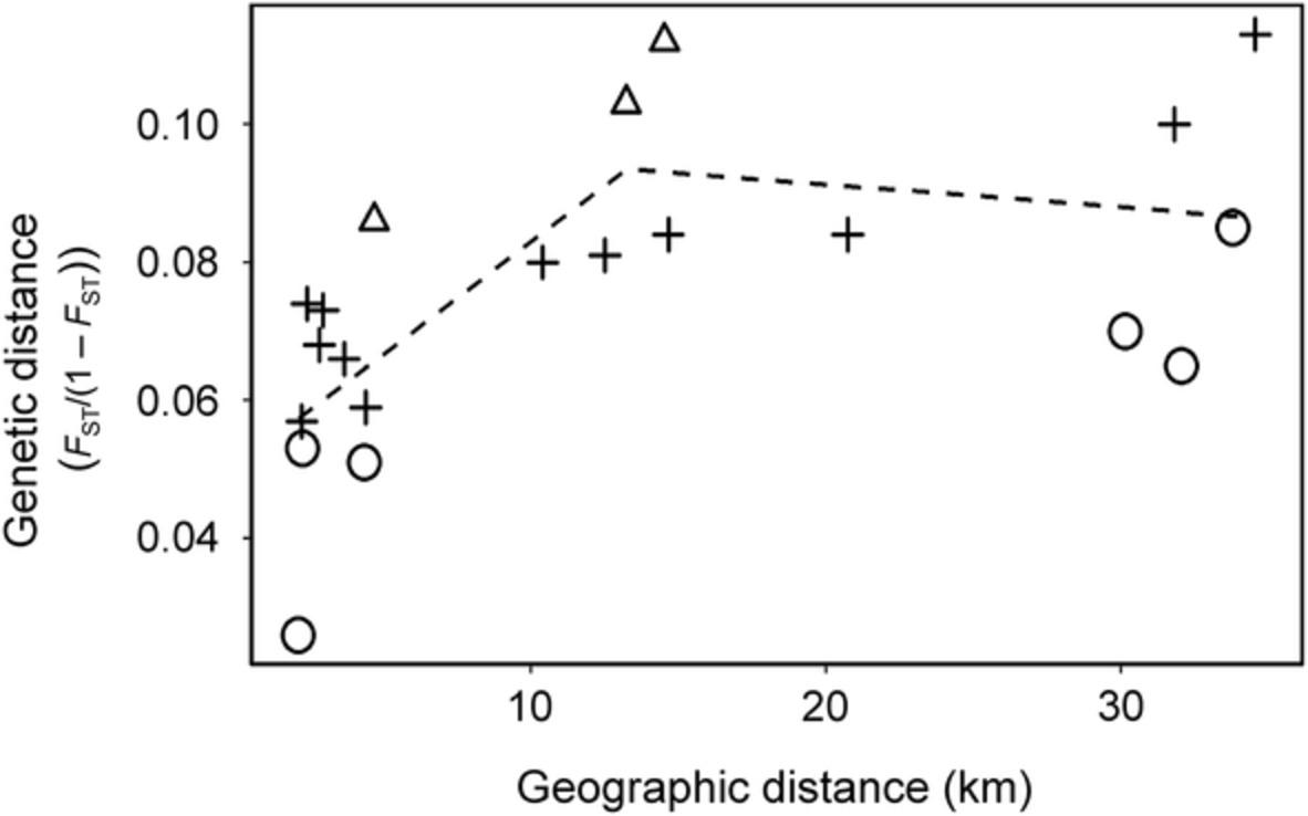 Fine-scale population fragmentation of a grassland butterfly Plebejus argyrognomon inhabiting agricultural field margin and riverbank in rural landscapes