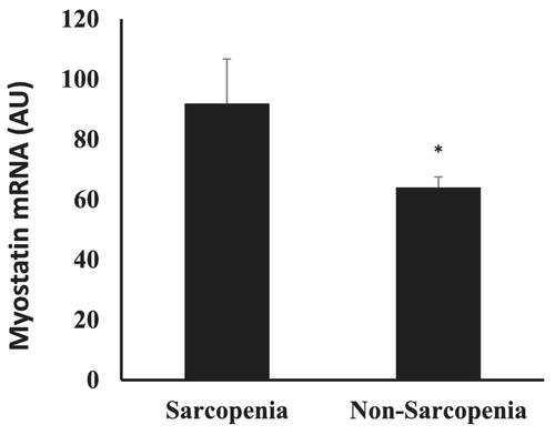 Skeletal muscle myostatin gene expression and sarcopenia in overweight and obese middle-aged and older adults