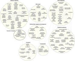 Dipteran endoparasitoid infestation actively suppressed host defense components in hemocytes of silkworm Bombyx mori for successful parasitism