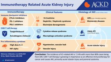 Immunotherapy-Related Acute Kidney Injury