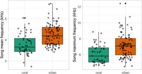 Anthropogenic noise, song, and territorial aggression in southern house wrens