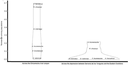 Role of the Chicamocha River Canyon on the phylogeography of humid montane forest birds in Colombia