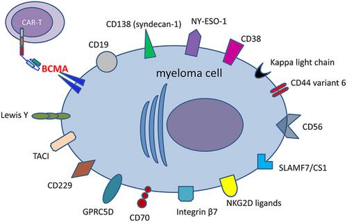 Non-BCMA targeted CAR-T cell therapies for multiple myeloma