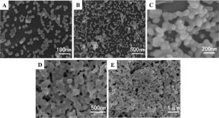 Fibers covered with 3D interconnected network of Au nanostructures and their application in SERS detection