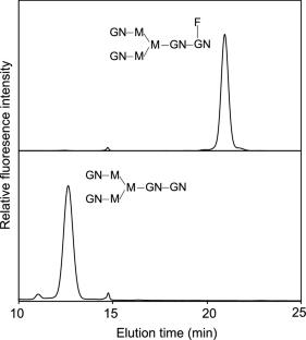 Glutamine-free mammalian expression of recombinant glycoproteins with uniform isotope labeling: an application for NMR analysis of pharmaceutically relevant Fc glycoforms of human immunoglobulin G1