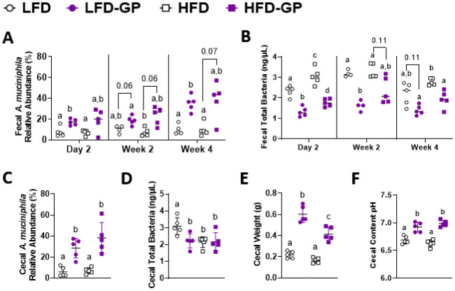 Impact of grape polyphenols on <i>Akkermansia muciniphila</i> and the gut barrier.