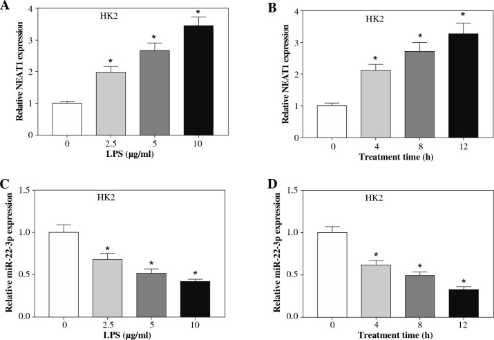 Downregulation of lncRNA NEAT1 alleviates sepsis-induced acute kidney injury.