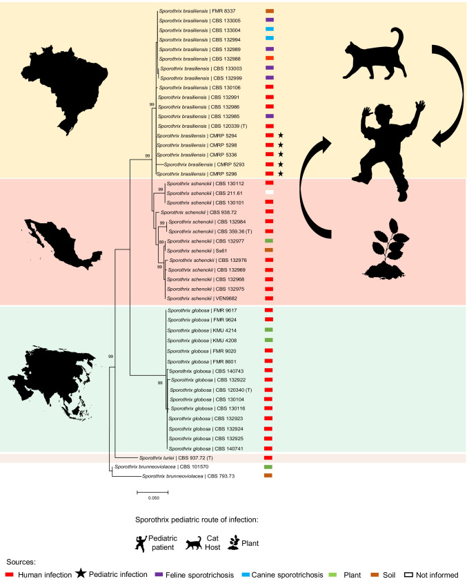 Sporotrichosis in Children: Case series and Narrative Review.