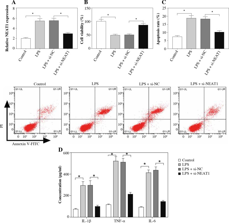 Downregulation of lncRNA NEAT1 alleviates sepsis-induced acute kidney injury.