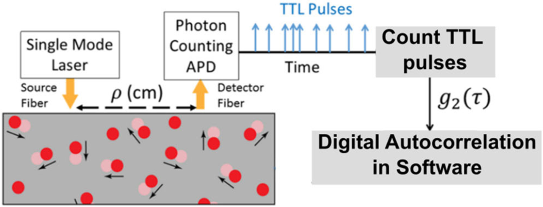 Lossless Compressed Sensing of Photon Counts for Fast Diffuse Correlation Spectroscopy