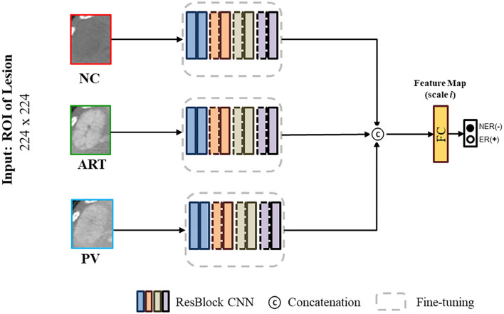 Phase Attention Model for Prediction of Early Recurrence of Hepatocellular Carcinoma With Multi-Phase CT Images and Clinical Data.