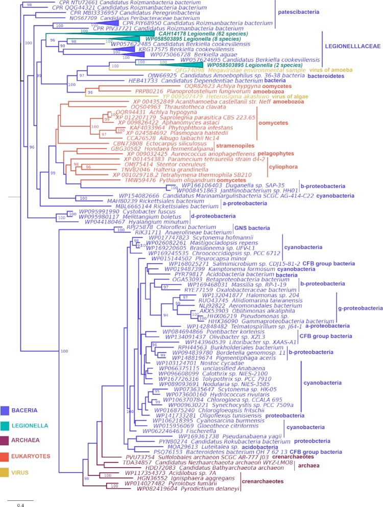 Bacterial methyltransferases: from targeting bacterial genomes to host epigenetics.