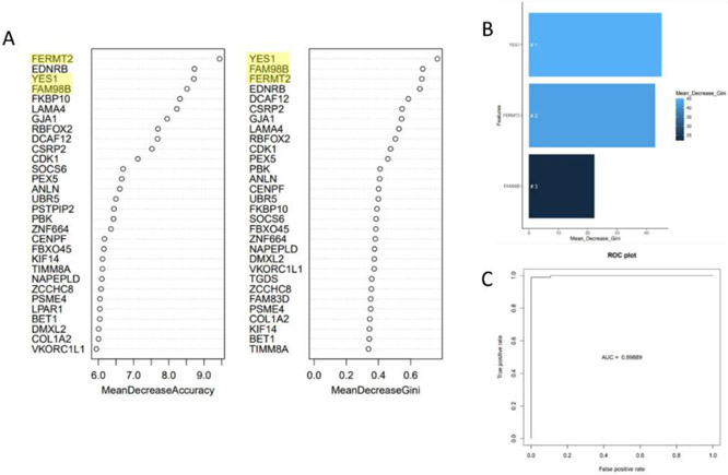 Joint Secondary Transcriptomic Analysis of Non-Hodgkin's B-Cell Lymphomas Predicts Reliance on Pathways Associated with the Extracellular Matrix and Robust Diagnostic Biomarkers.