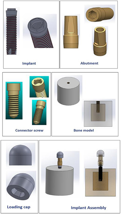 Effect of Bone Remodeling on Dental Implant Fatigue Limit Predicted Using 3D Finite Element Analysis.