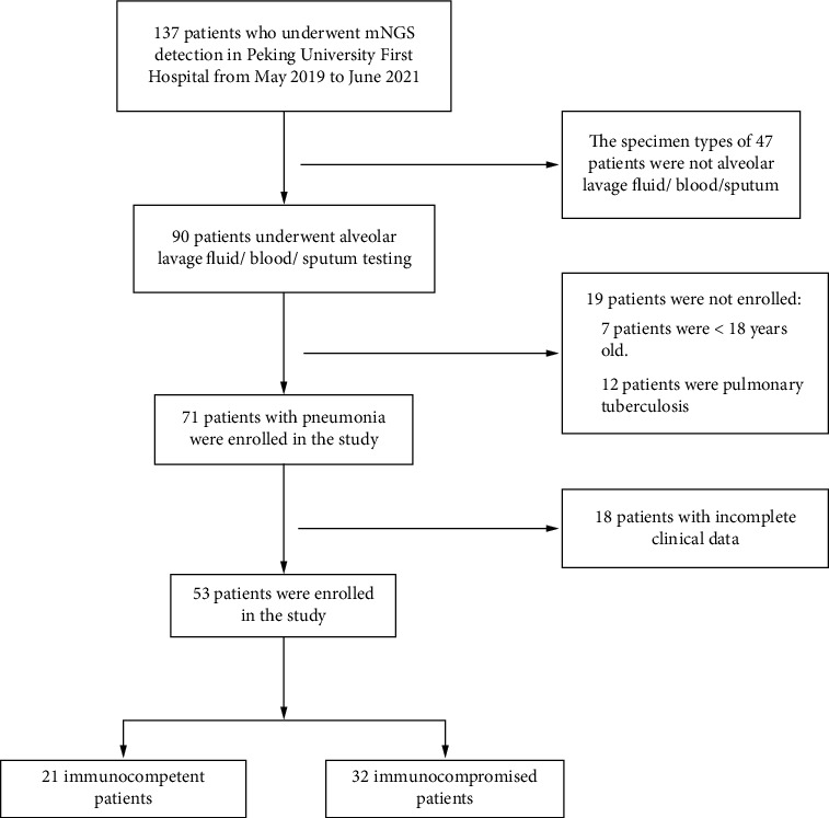 Diagnostic Value of Metagenomic Next-Generation Sequencing for Pneumonia in Immunocompromised Patients.