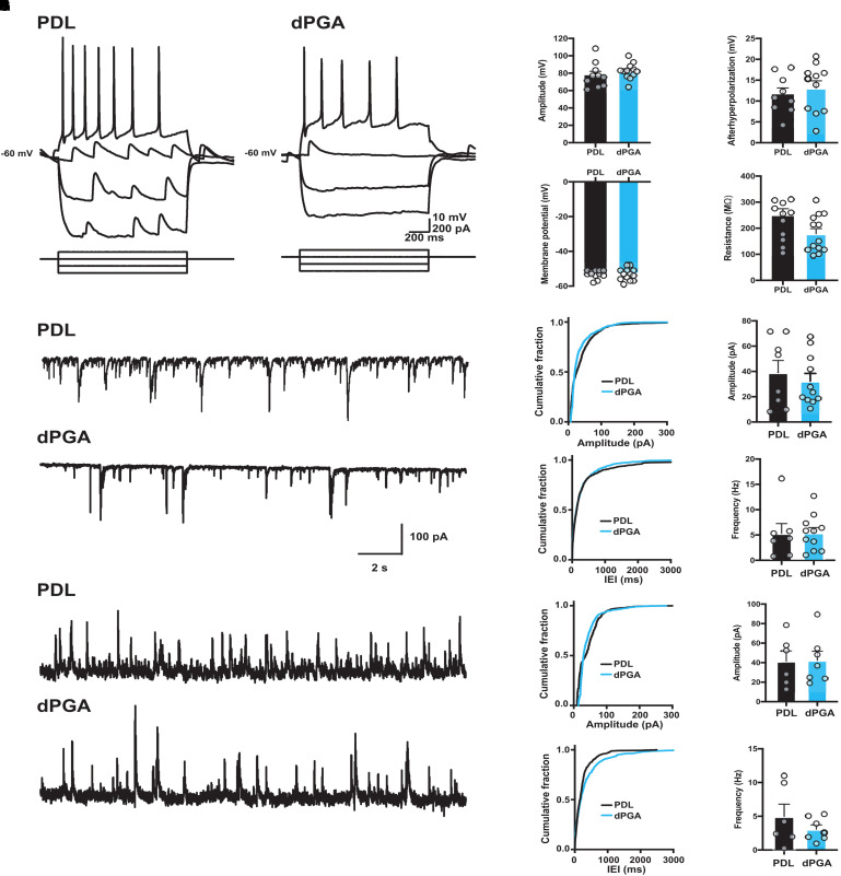 Dendritic Polyglycerol Amine: An Enhanced Substrate to Support Long-Term Neural Cell Culture.