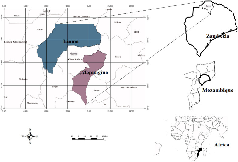 Understanding the drivers of food security among agriculture-based households in Gurué District, Central Mozambique.