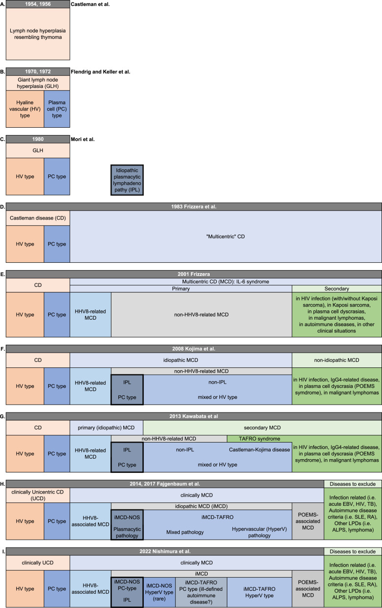 Idiopathic plasmacytic lymphadenopathy: A conceptual history along with a translation of the original Japanese article published in 1980.
