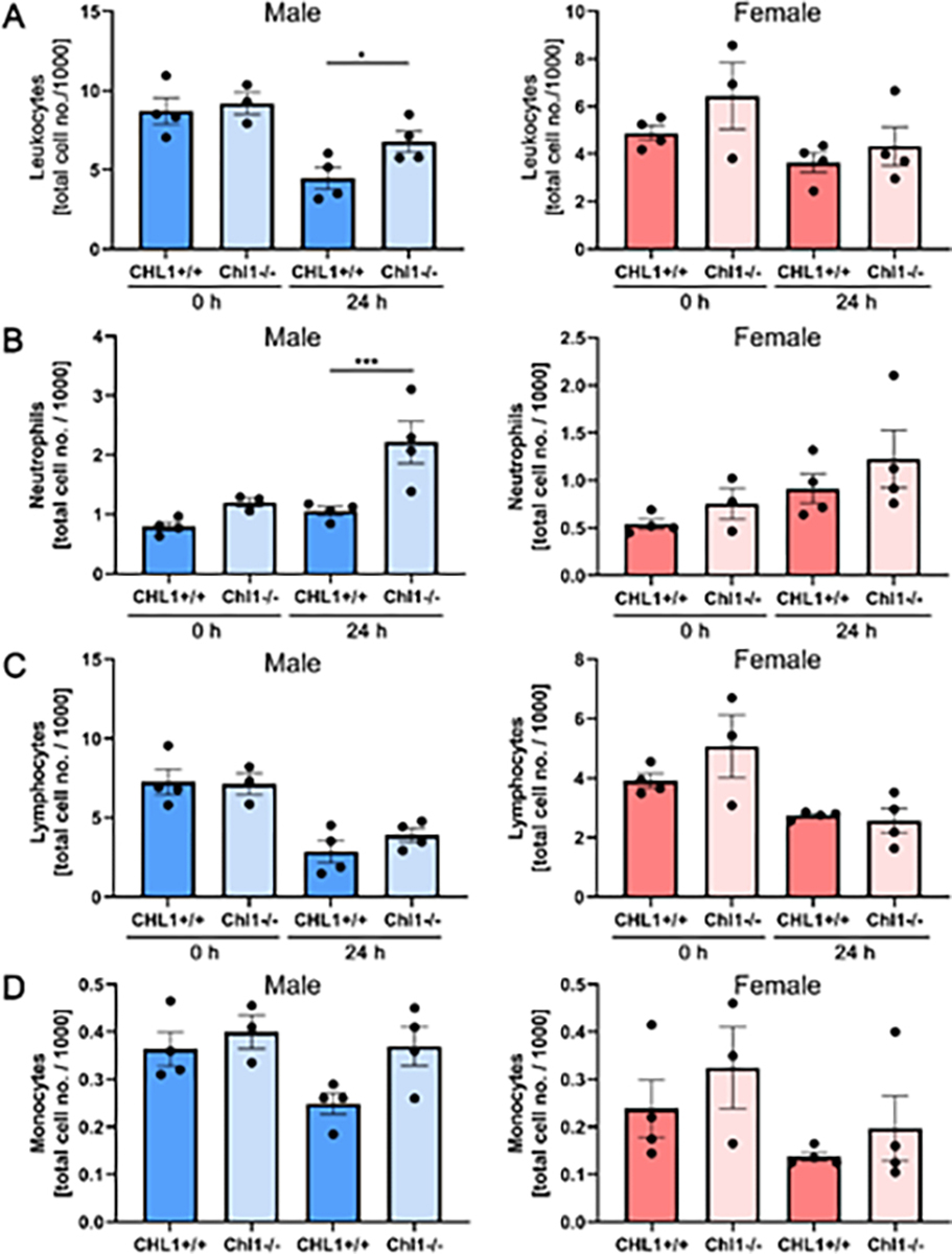 CHL1-Deficient and Wild-Type Male Mice do Not Differ in Locomotor Recovery from Spinal Cord Injury.