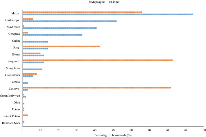 Understanding the drivers of food security among agriculture-based households in Gurué District, Central Mozambique.
