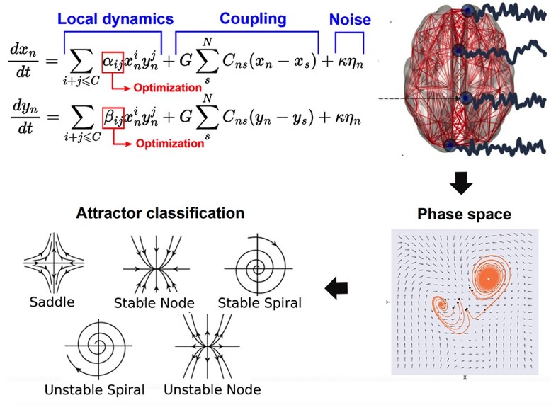 Data-driven discovery of canonical large-scale brain dynamics.