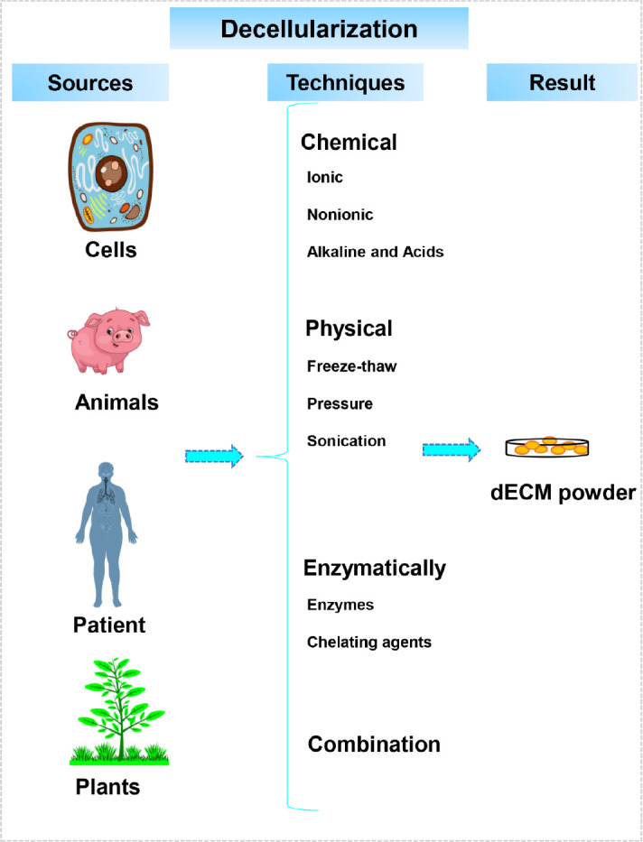 Three-dimensional bio-printing of decellularized extracellular matrix-based bio-inks for cartilage regeneration: a systematic review.