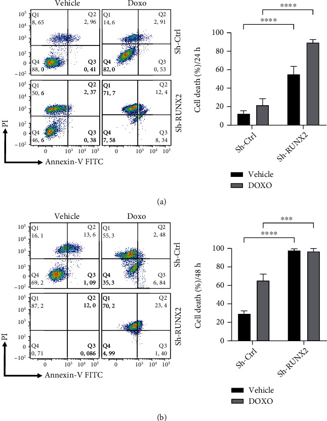 Regulatory Role of the RUNX2 Transcription Factor in Lung Cancer Apoptosis.