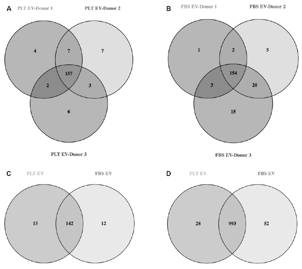 Systemic delivery of large-scale manufactured Wharton's Jelly mesenchymal stem cell-derived extracellular vesicles improves cardiac function after myocardial infarction.