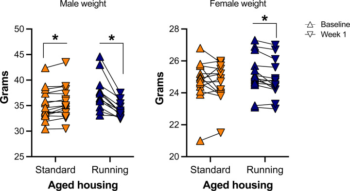 Sex-dependent effects of chronic exercise on cognitive flexibility but not hippocampal Bdnf in aging mice.