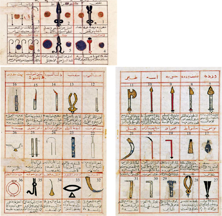 Ophthalmological instruments of Al-Halabi fill in a gap in the biomedical engineering history.