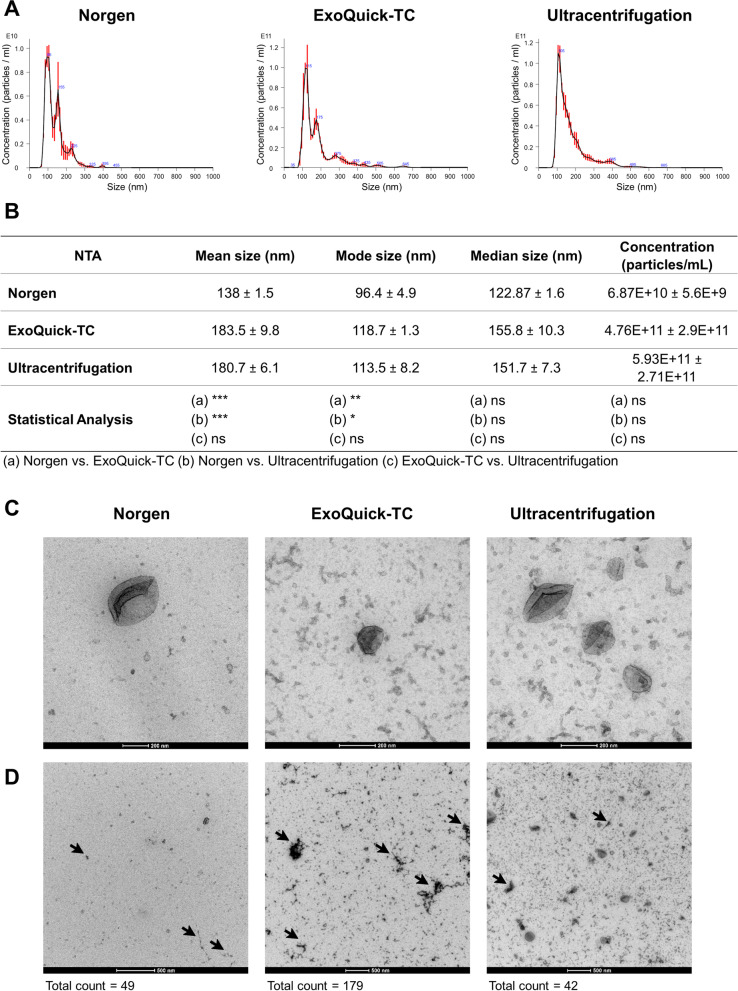 Proteomic analysis of extracellular vesicles secreted by primary human epithelial endometrial cells reveals key proteins related to embryo implantation.