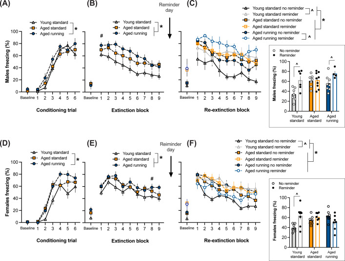 Sex-dependent effects of chronic exercise on cognitive flexibility but not hippocampal Bdnf in aging mice.