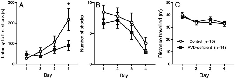 Impaired spatial memory in adult vitamin D deficient BALB/c mice is associated with reductions in spine density, nitric oxide, and neural nitric oxide synthase in the hippocampus.