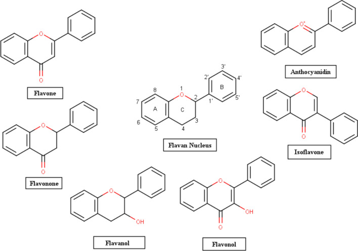 Effect of Different Proportions of Phenolics on Antioxidant Potential: Pointers for Bioactive Synergy/Antagonism in Foods and Nutraceuticals.