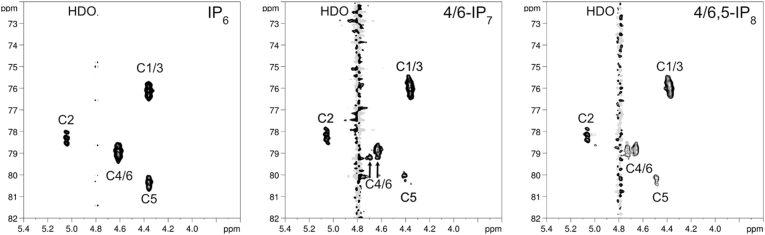 The inositol pyrophosphate metabolism of Dictyostelium discoideum does not regulate inorganic polyphosphate (polyP) synthesis