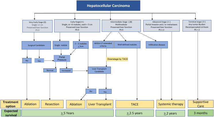 Pathogenesis to management of hepatocellular carcinoma.