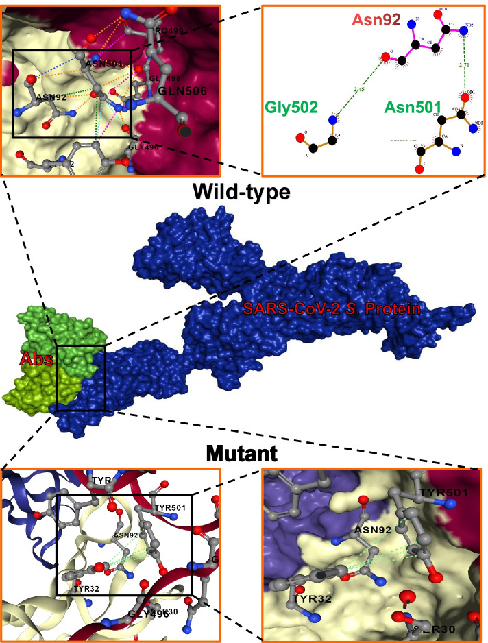Immunity evasion: consequence of the N501Y mutation of the SARS-CoV-2 spike glycoprotein.