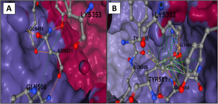 Immunity evasion: consequence of the N501Y mutation of the SARS-CoV-2 spike glycoprotein.