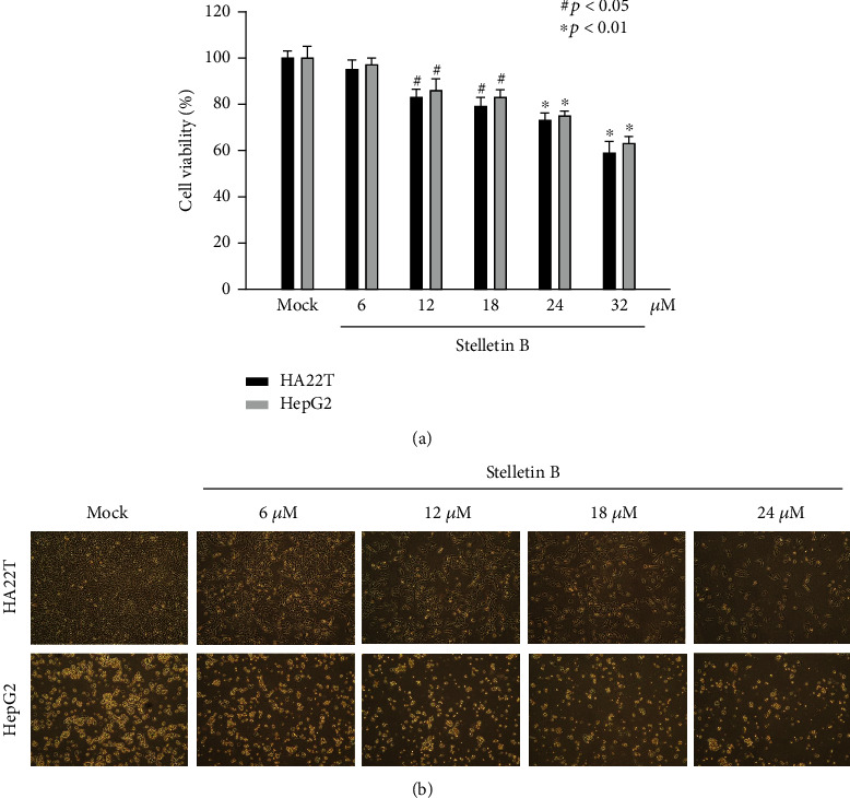 Stellettin B Isolated from <i>Stelletta</i> Sp. Reduces Migration and Invasion of Hepatocellular Carcinoma Cells through Reducing Activation of the MAPKs and FAK/PI3K/AKT/mTOR Signaling Pathways.