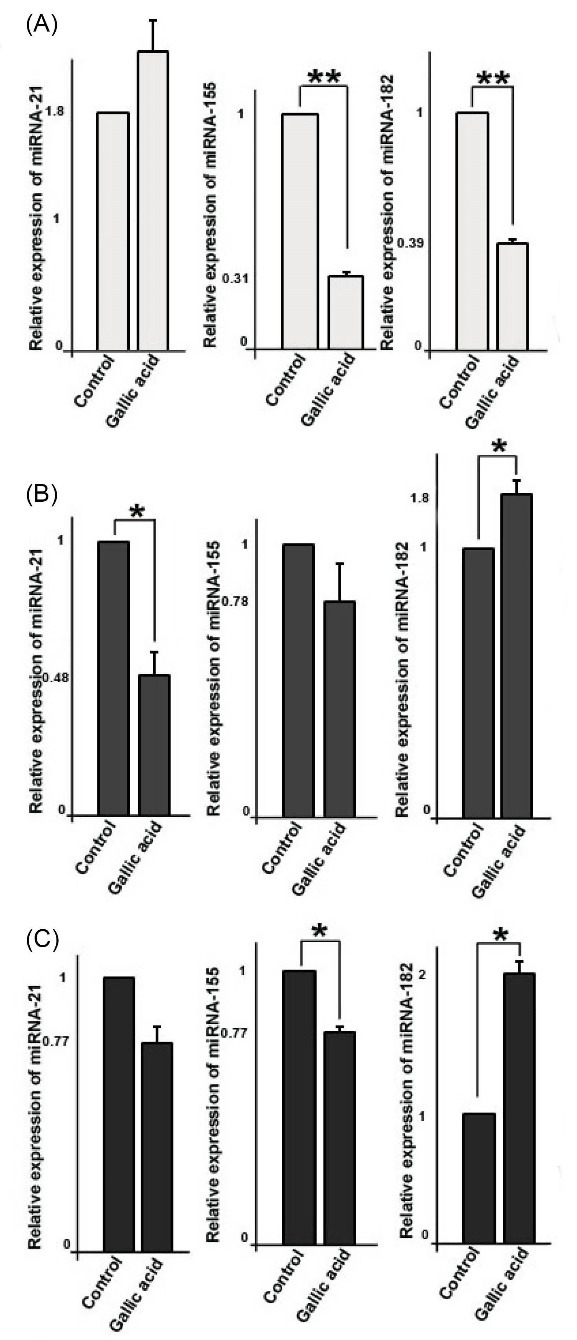 Inhibitory effects of gallic acid on the activity of exosomal secretory pathway in breast cancer cell lines: A possible anticancer impact.