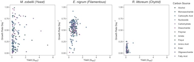 Macromolecular composition and substrate range of three marine fungi across major cell types.