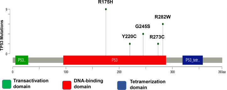 Droplet digital polymerase chain reaction for detection and quantification of cell-free DNA TP53 target somatic mutations in oral cancer.