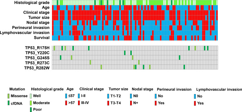 Droplet digital polymerase chain reaction for detection and quantification of cell-free DNA TP53 target somatic mutations in oral cancer.