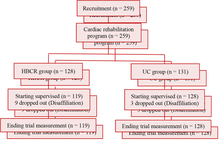 The effect of home-based cardiac rehabilitation on depression score in patients with ischemic heart disease: A longitudinal clinical trial study.