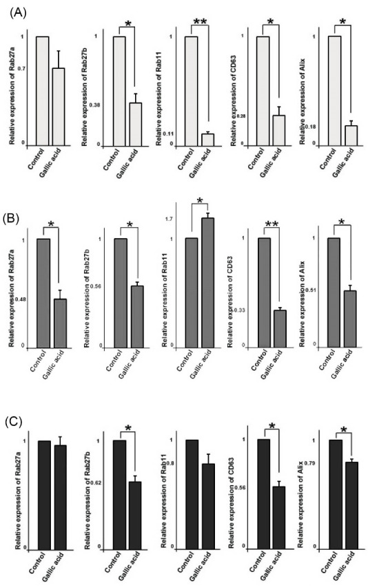 Inhibitory effects of gallic acid on the activity of exosomal secretory pathway in breast cancer cell lines: A possible anticancer impact.