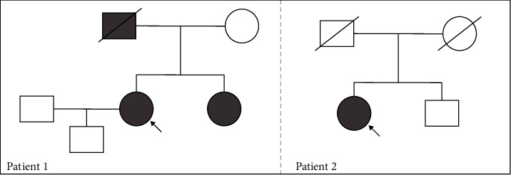 The Benefits of Early versus Late Therapeutic Intervention in Fabry Disease.