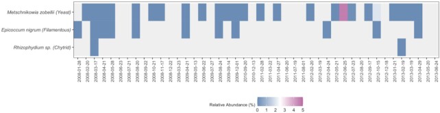 Macromolecular composition and substrate range of three marine fungi across major cell types.