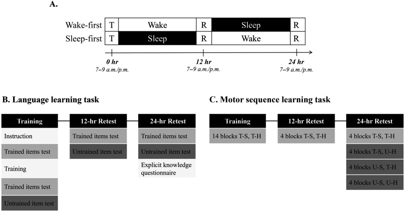 Effects of Sleep on Language and Motor Consolidation: Evidence of Domain General and Specific Mechanisms.