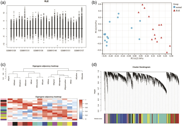 Network pharmacology and bioinformatics analyses identify the intersection genes and mechanism of Huang Bai for recurrent aphthous stomatitis.