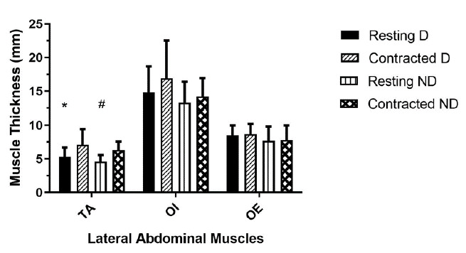 Does transversus abdominis function correlate with prone plank and bench bridge holding time in club cricket players?